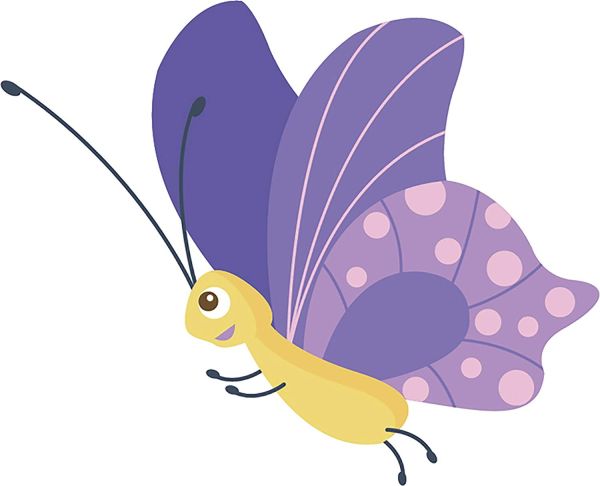 gambar animasi kupu kupu 1