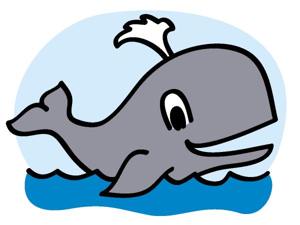 gambar ikan paus kartun