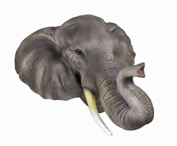 gambar kepala gajah