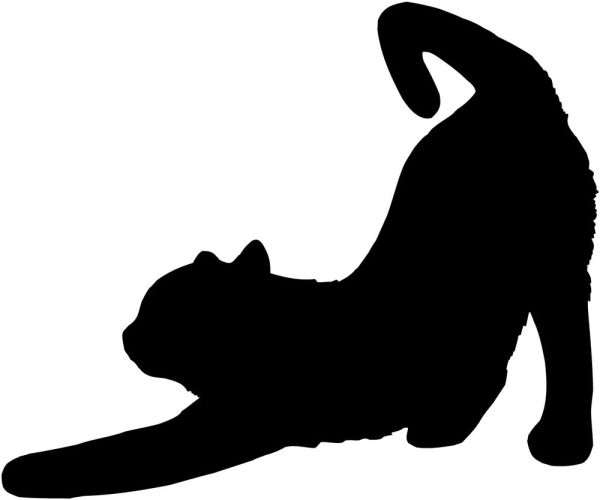 gambar siluet kucing
