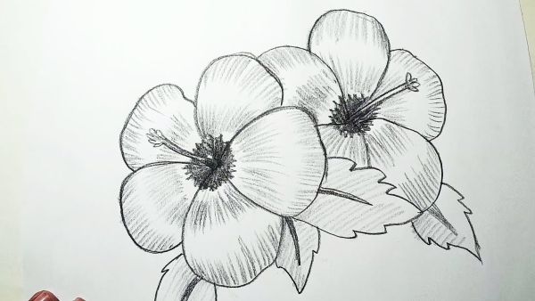 gambar sketsa bunga