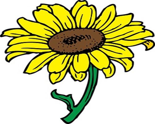 gambar lukisan bunga matahari