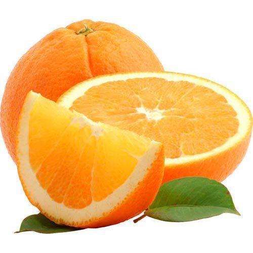 gambar mewarnai buah jeruk