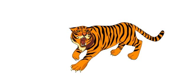 sketsa gambar harimau