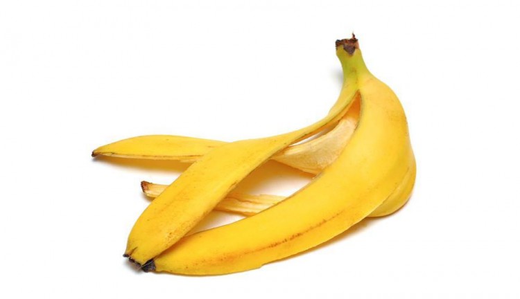 gambar pelepah pisang