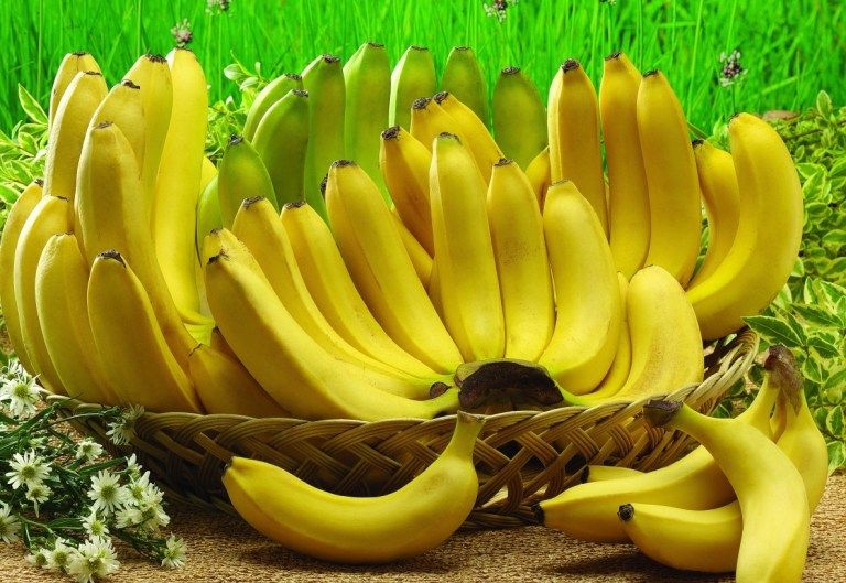 gambar pisang kepok