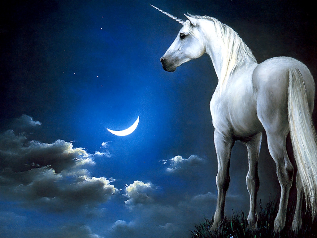 gambar unicorn wallpaper