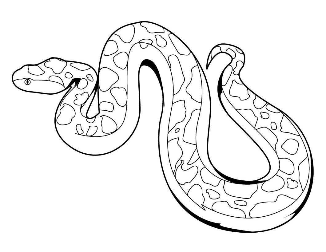sketsa gambar ular