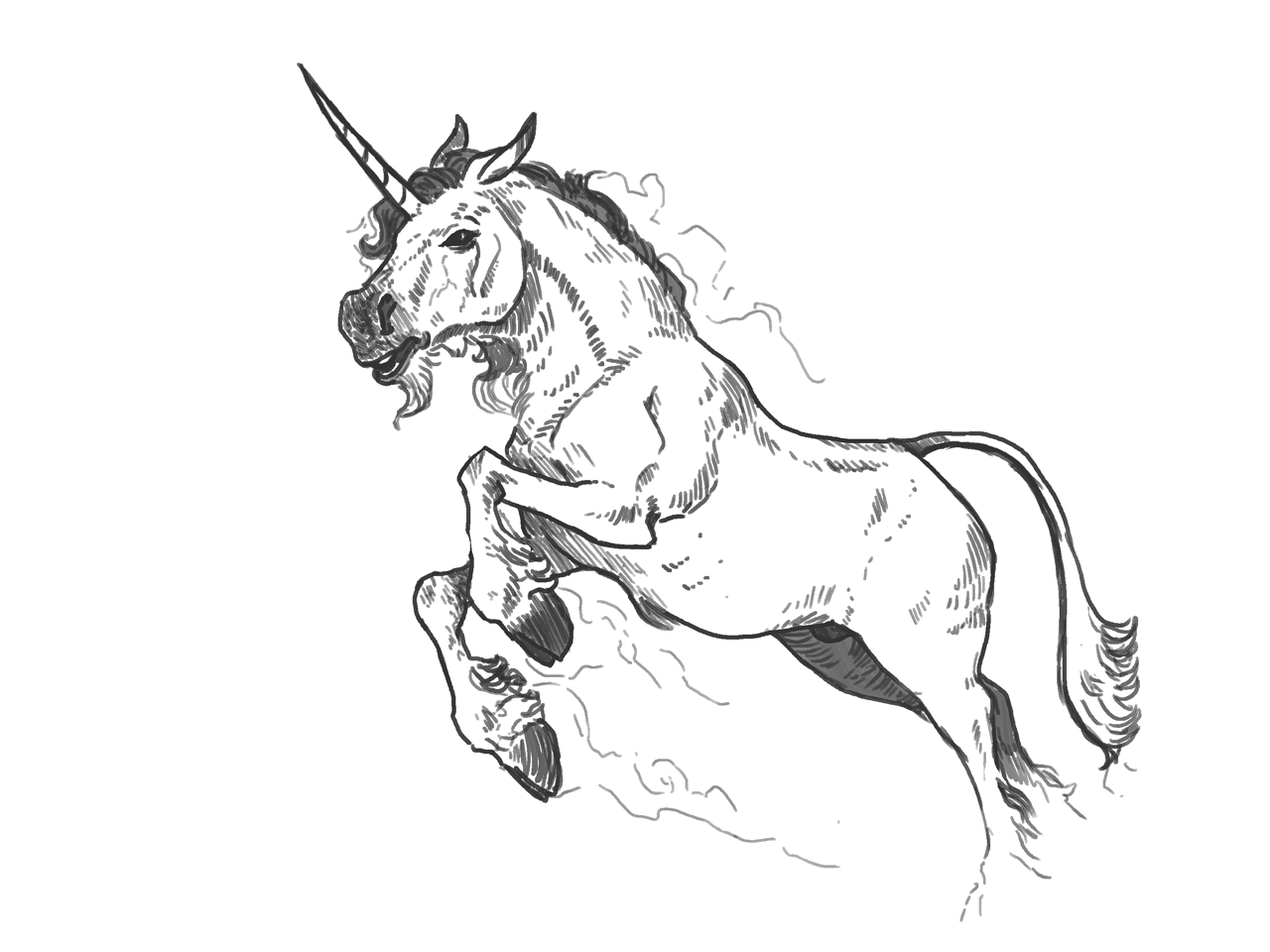 sketsa gambar unicorn