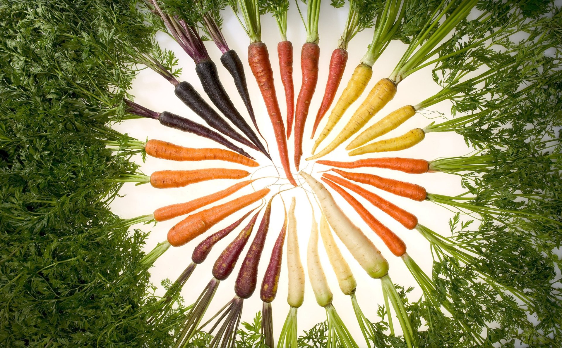 gambar beragam sayuran wortel