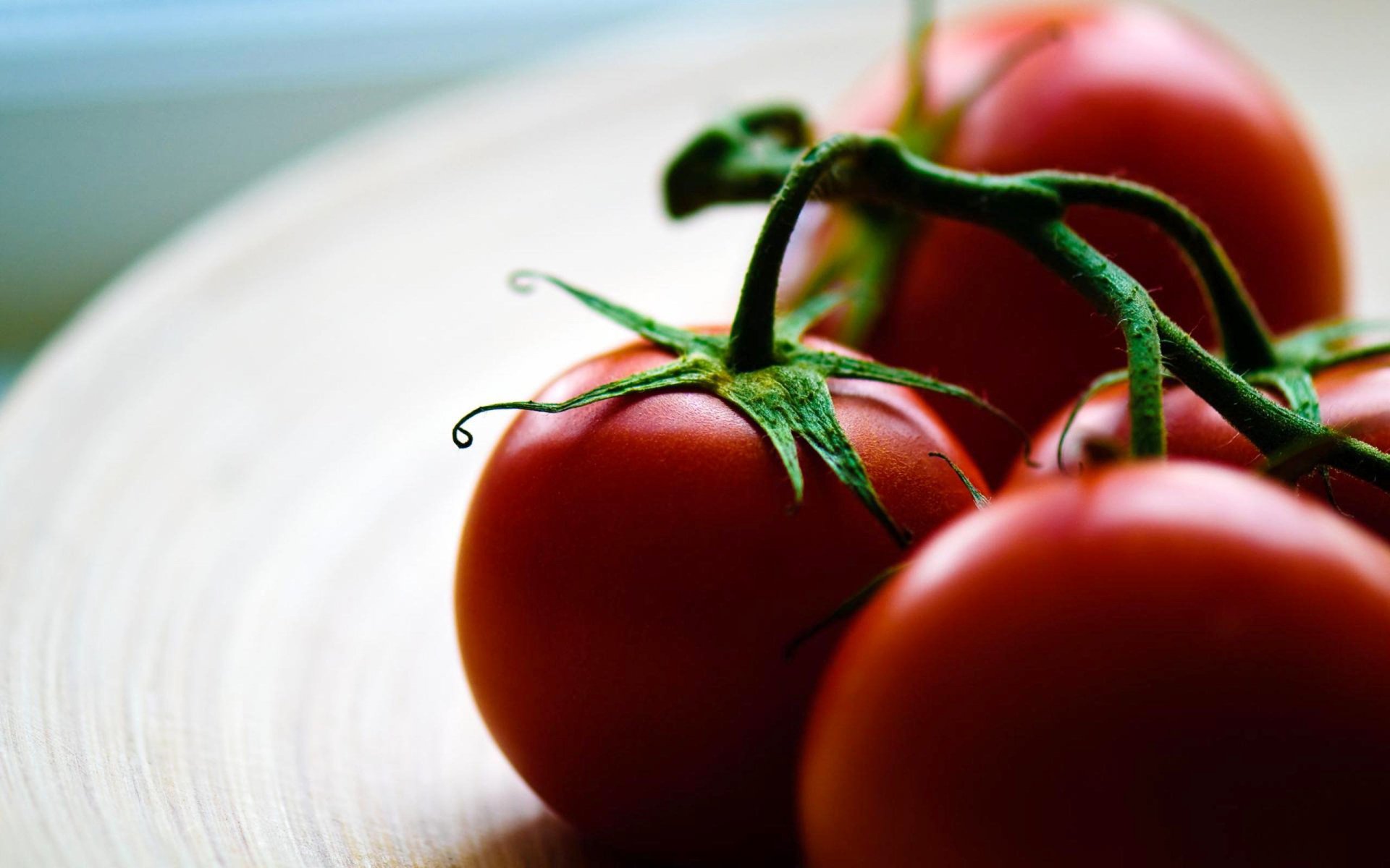 gambar sayuran tomat hd