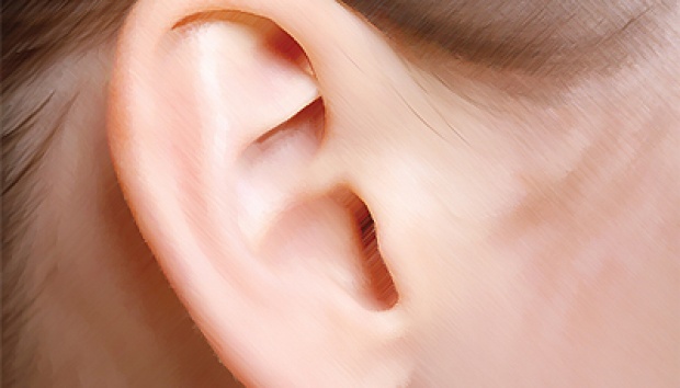 gambar telinga hd