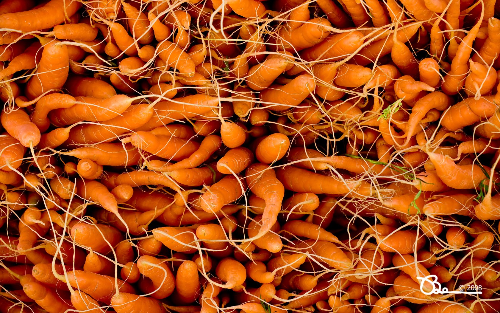 kumpulan gambar sayuran wortel