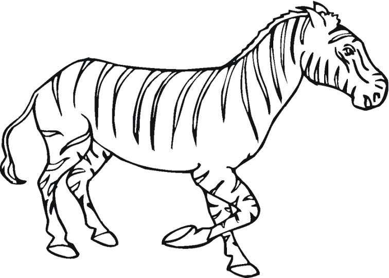 gambar kuda zebra untuk diwarnai