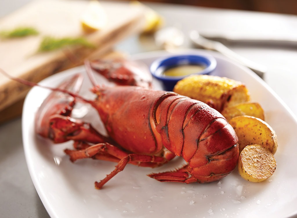 gambar lobster merah lezat