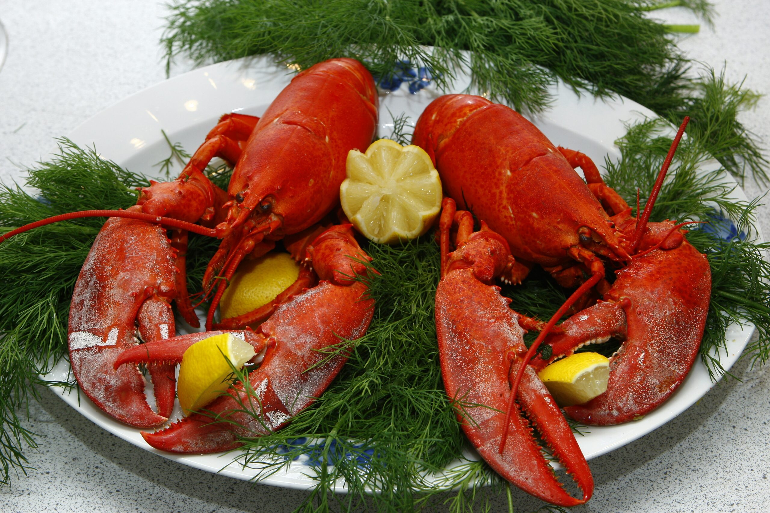 gambar makanan lobster lezat