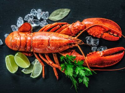 hd wallpaper gambar lobster