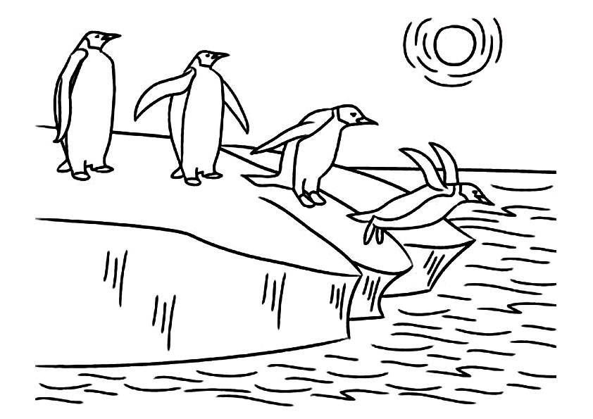 gambar penguin untuk diwarnai