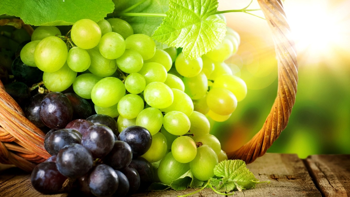 gambar buah buahan anggur