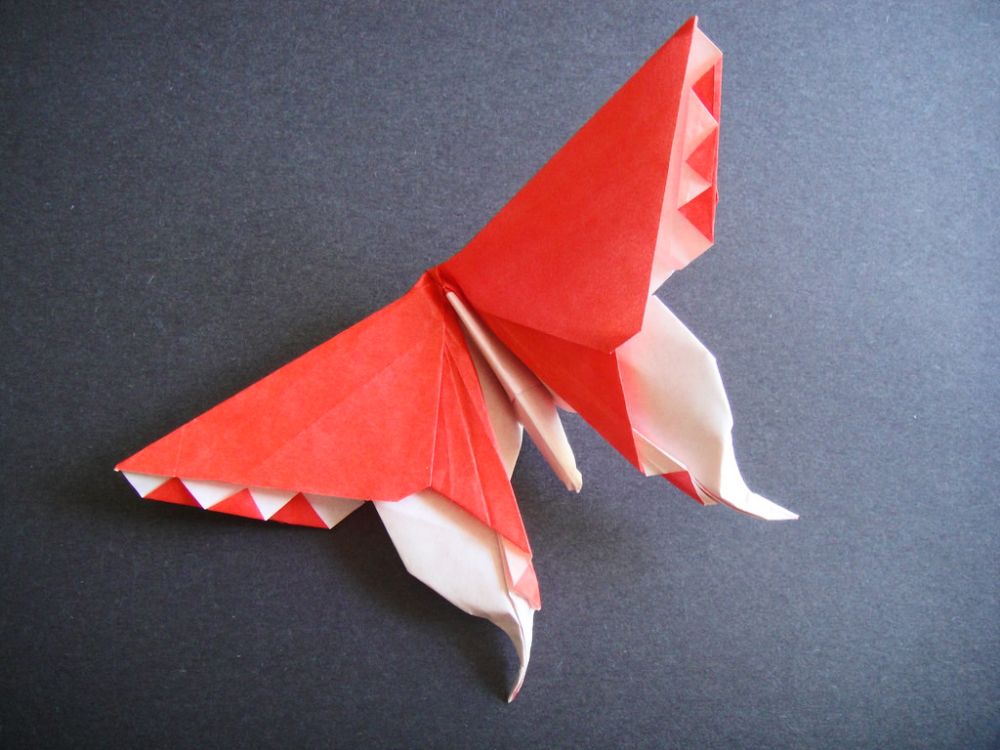 gambar origami bentuk kupu kupu