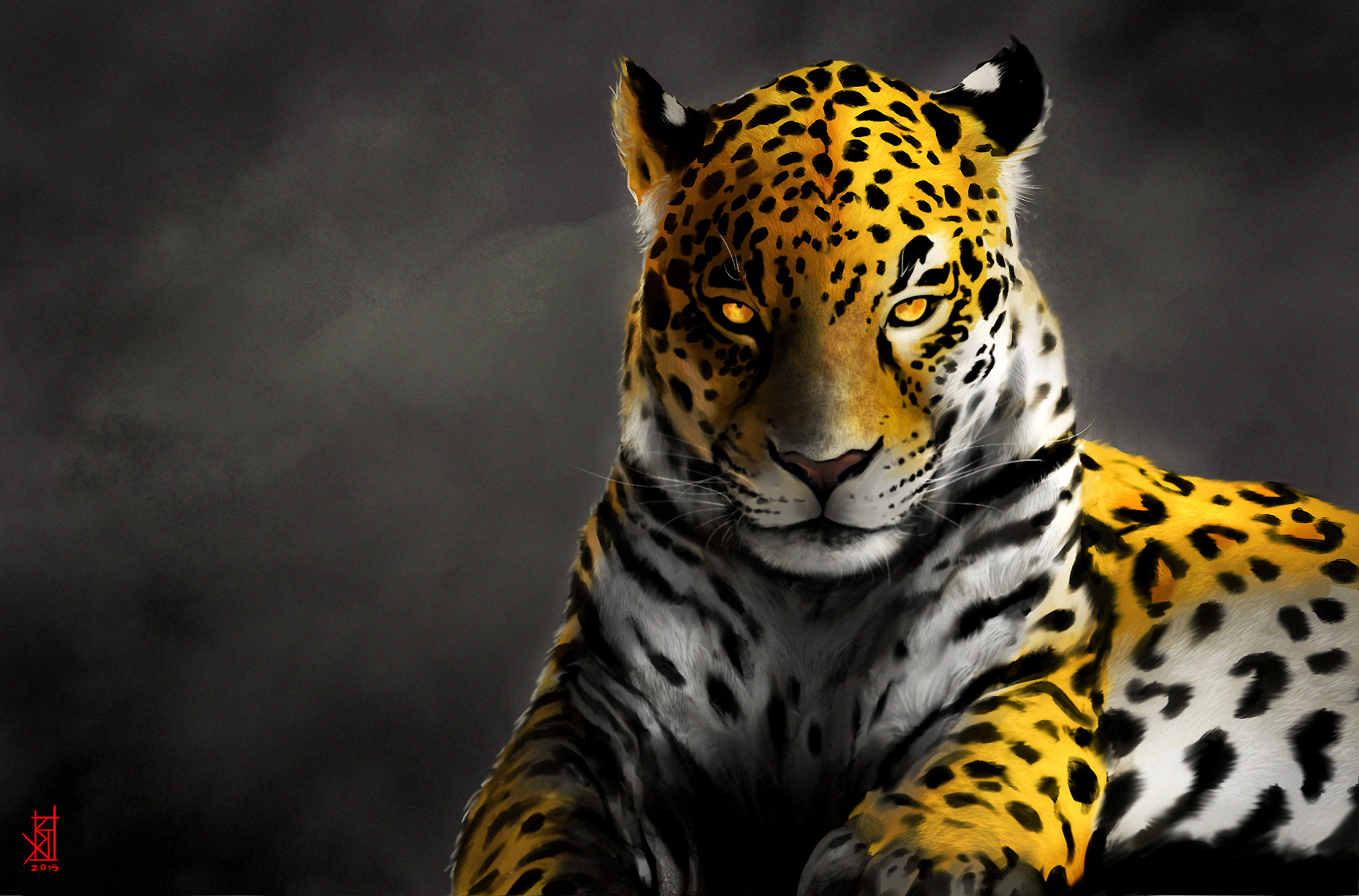 wallpaper gambar jaguar hd