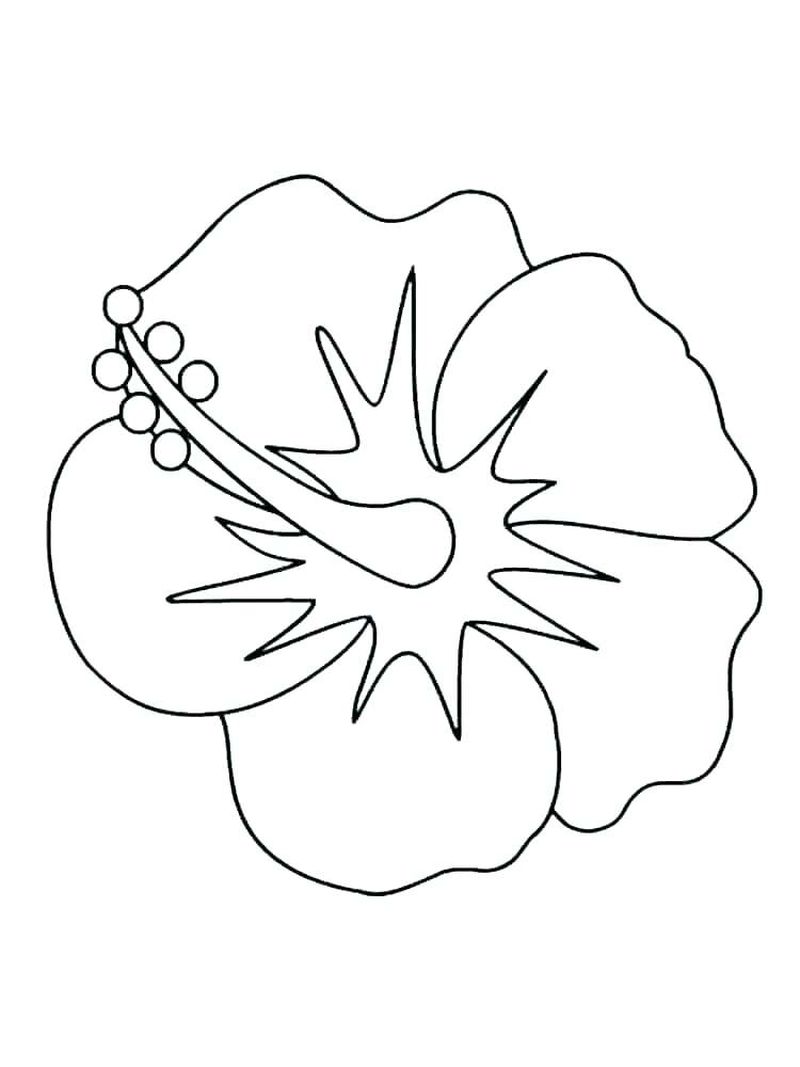 Easter Flowers Coloring Pages