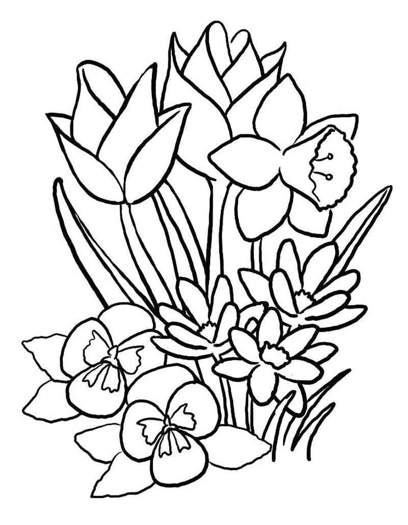 Flowers Coloring Pages For Baby