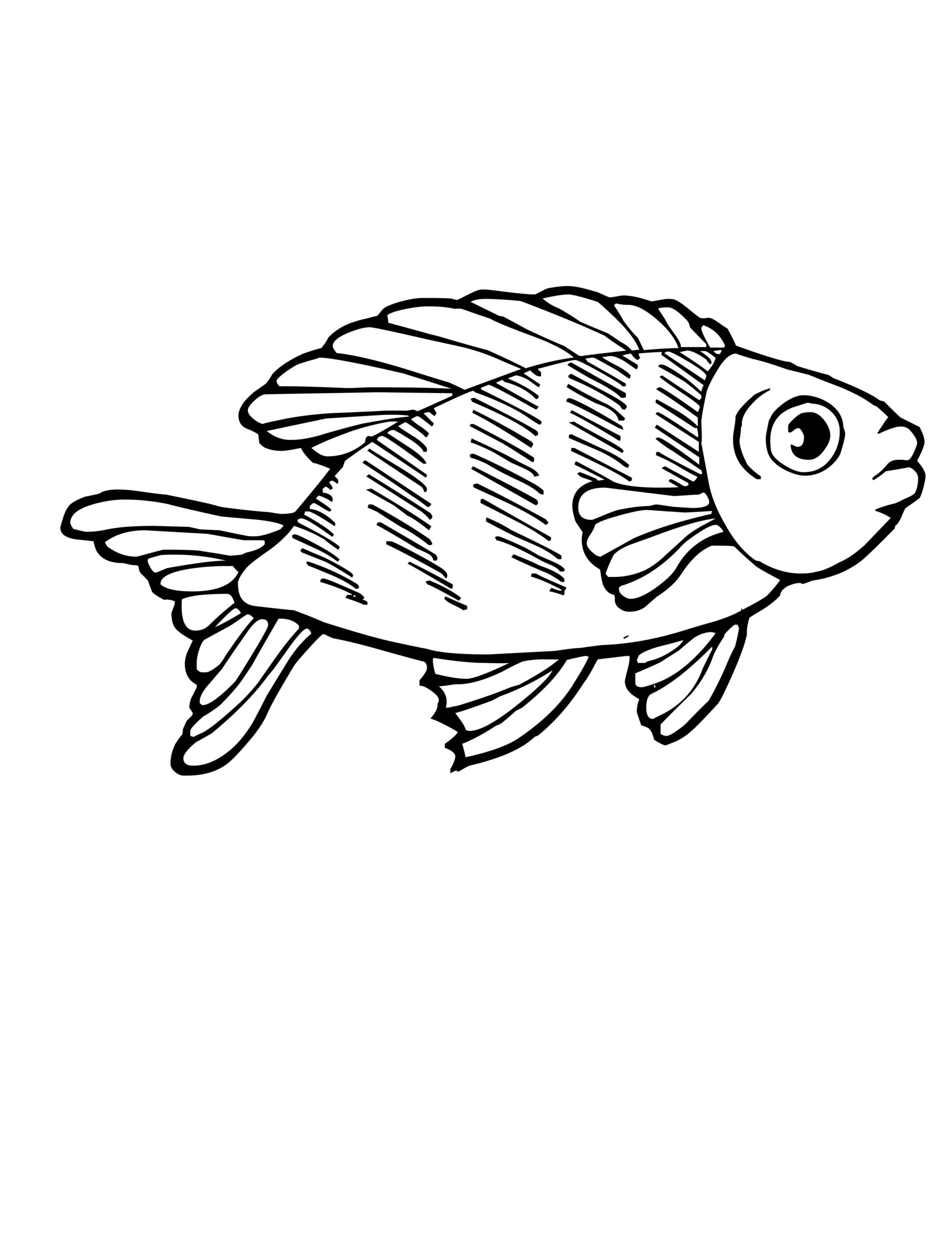 Gambar Sketsa Ikan Air Tawar