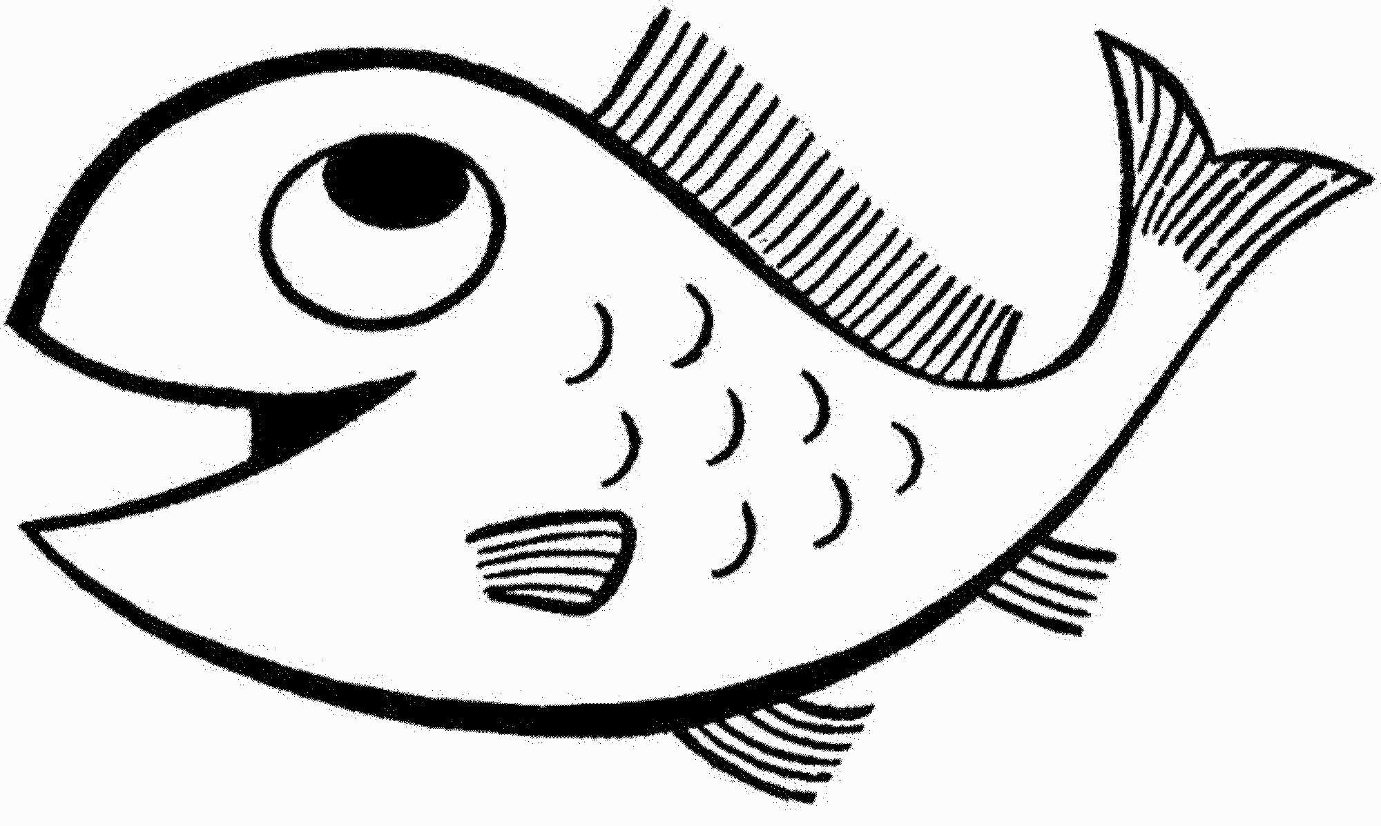 Gambar Sketsa Ikan