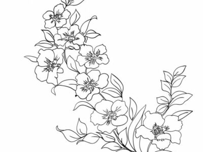 contoh gambar sketsa bunga sakura