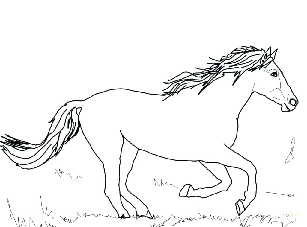 contoh gambar sketsa kuda sedang berlari
