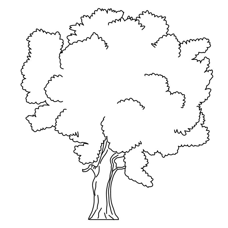 contoh gambar sketsa pohon
