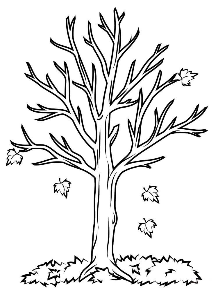 contoh gambar sketsa tumbuhan akar pohon