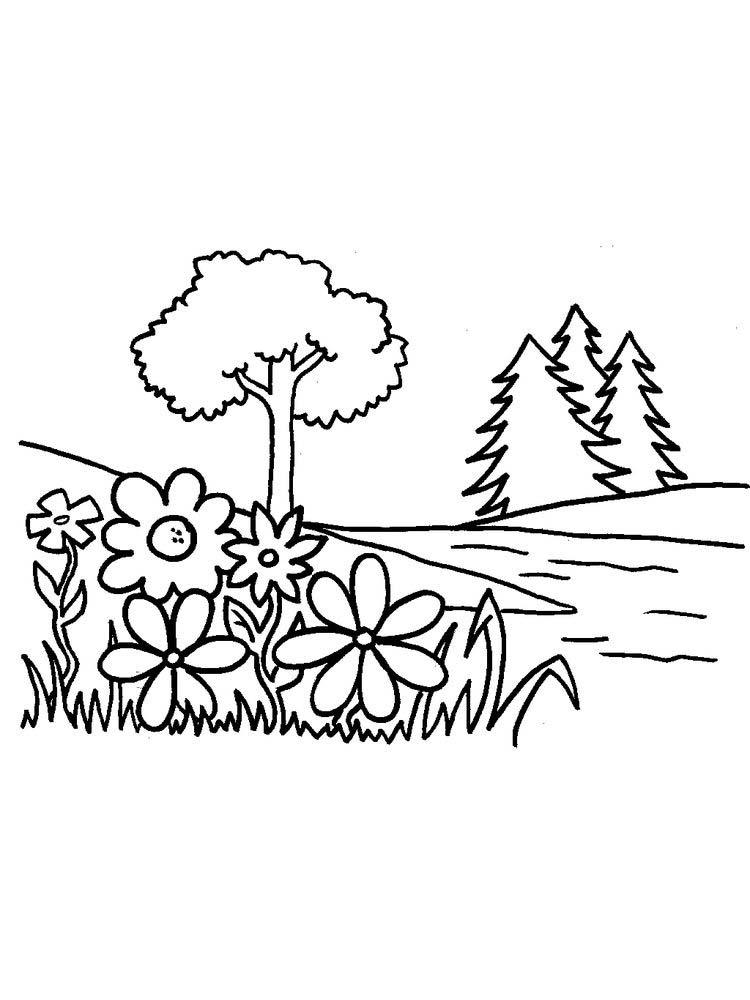 contoh gambar sketsa tumbuhan hd