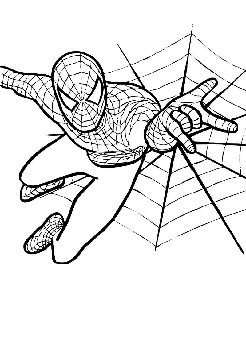 contoh hd gambar sketsa spiderman