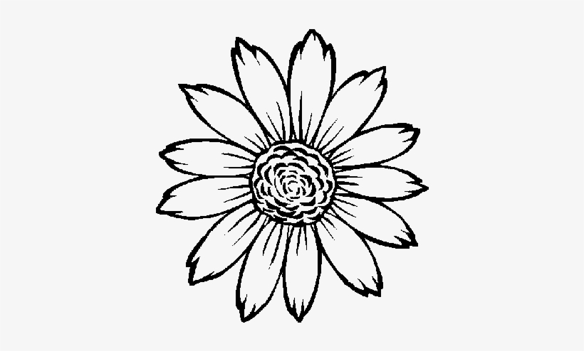 contoh mewarnai gambar sketsa bunga matahari