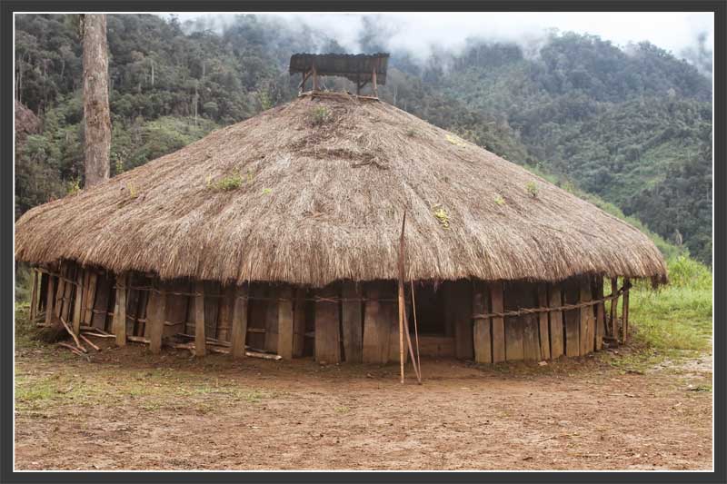 gambar rumah adat papua tradisional hd