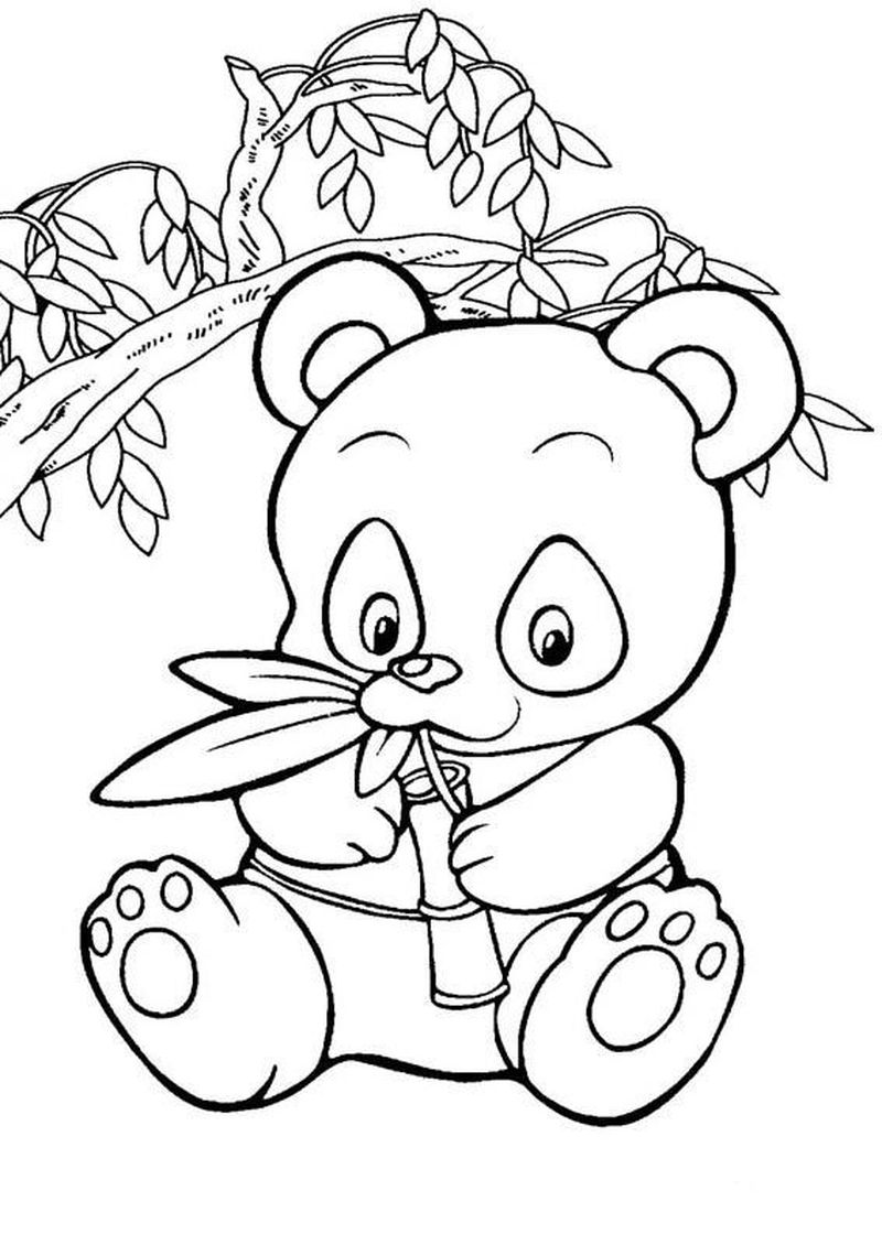 gambar sketsa anak panda lucu
