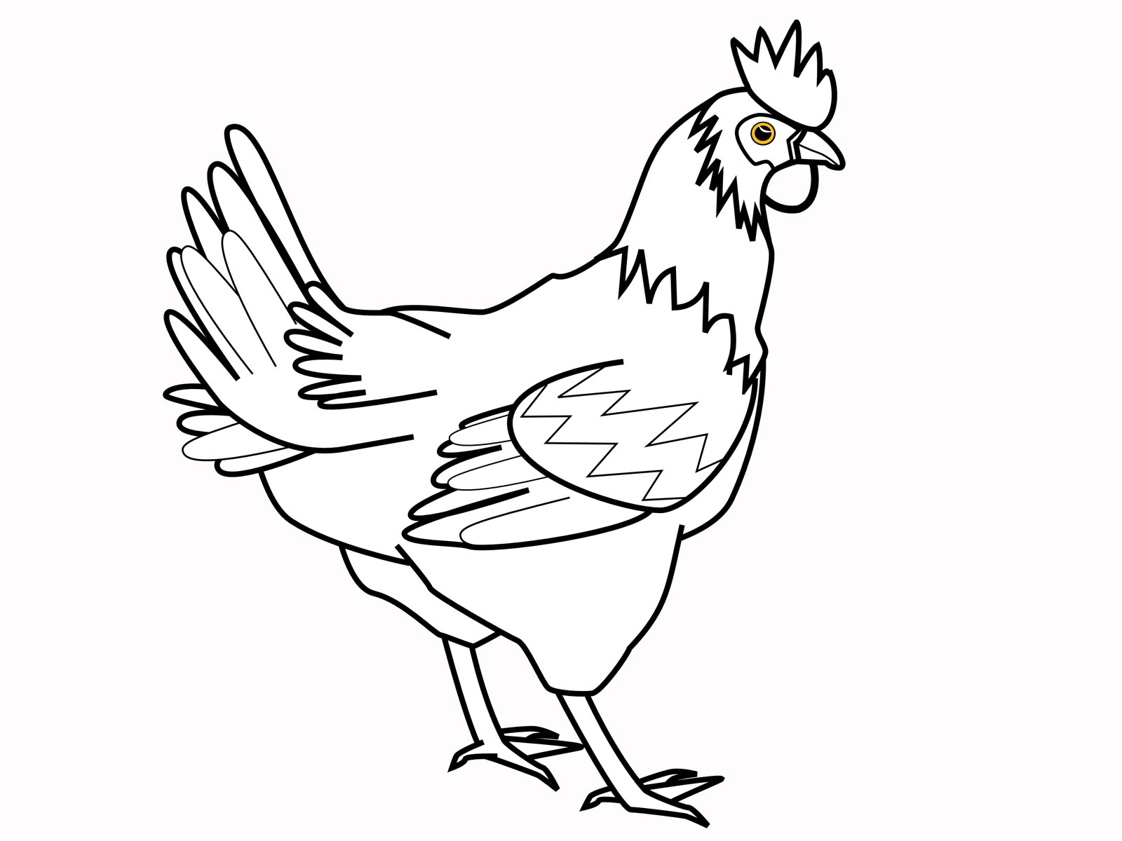 gambar sketsa ayam betina