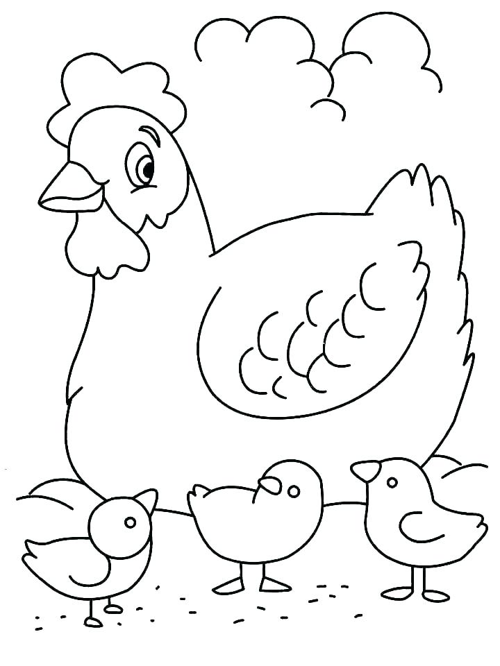 gambar sketsa ayam induk dan anak ayam