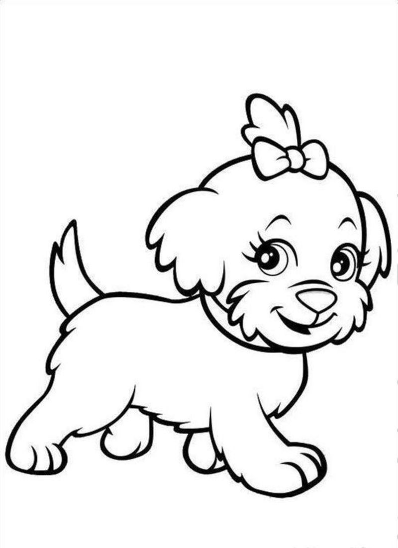gambar sketsa binatang anak anjing