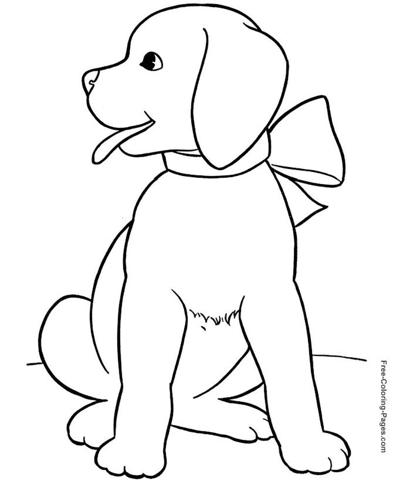gambar sketsa binatang anjing