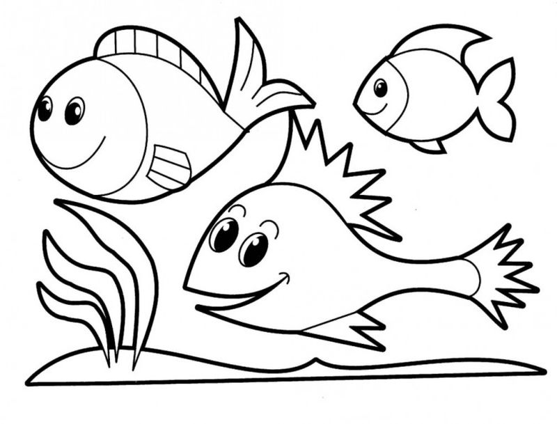 gambar sketsa binatang ikan