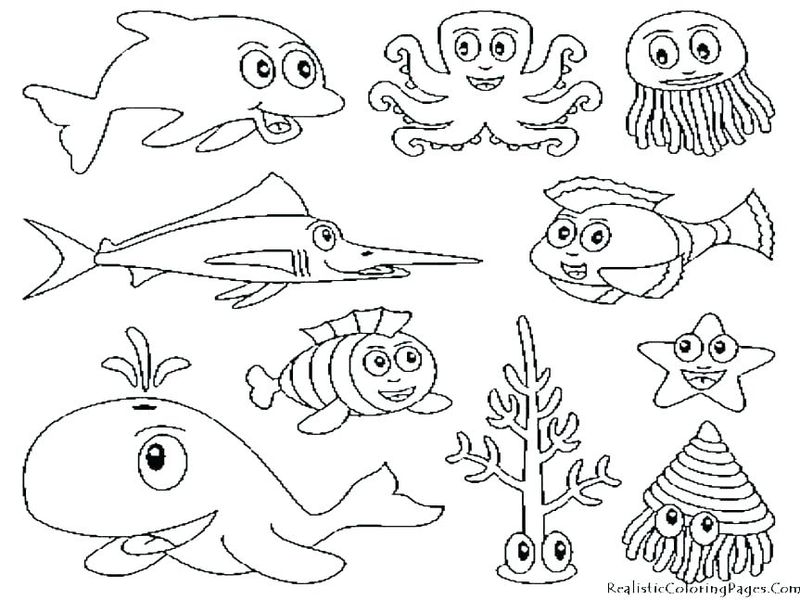 gambar sketsa binatang laut hd