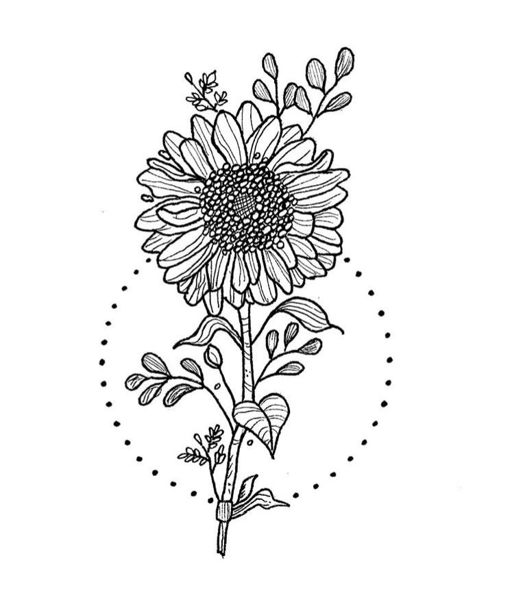 gambar sketsa bunga matahari yang cantik