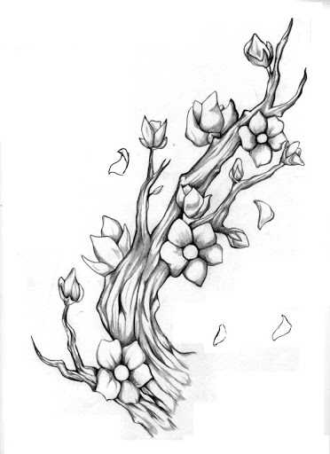 gambar sketsa bunga sakura keren