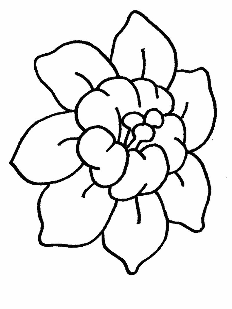 gambar sketsa bunga sederhana pdf