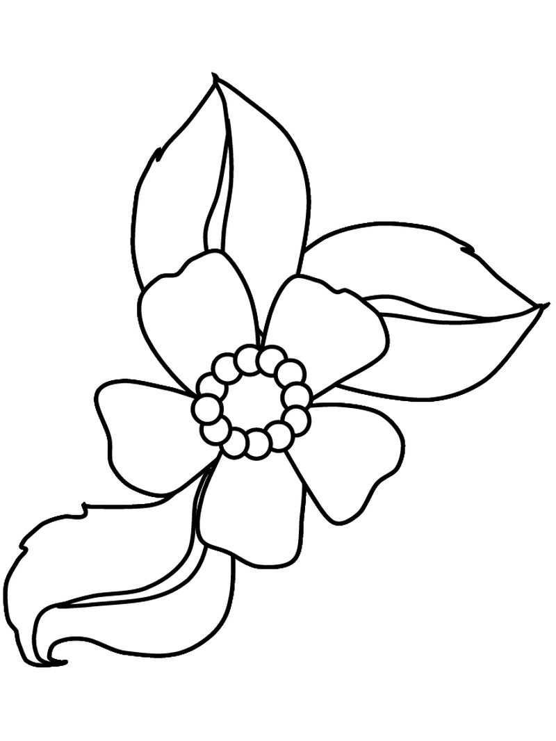 gambar sketsa bunga sederhana untuk diwarnai hd