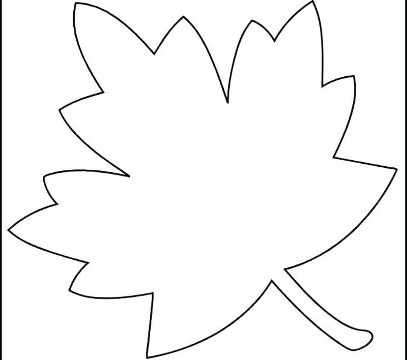 gambar sketsa daun jatuh