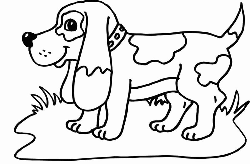 gambar sketsa fauna anjing lucu